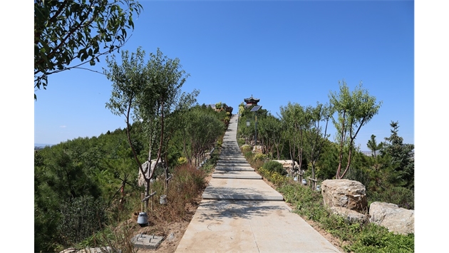 標(biāo)題：張家口太子山山體修復(fù)
瀏覽次數(shù)：19227
發(fā)表時(shí)間：2020-11-12